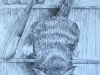 025