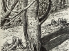 034