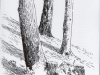 036