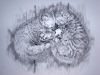 009